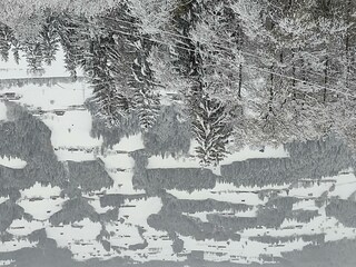 IMG_20231126_081737274