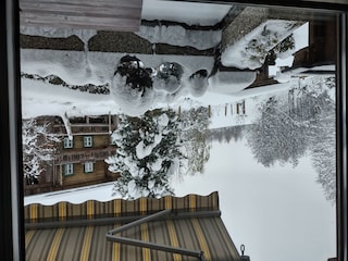 IMG_20231126_081637342_HDR