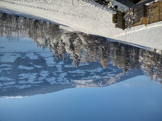 IMG_20231203_091959944_HDR