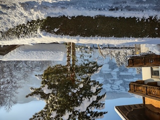 IMG_20231203_091812259_HDR