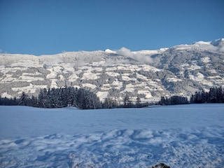IMG_20231203_143305560_HDR