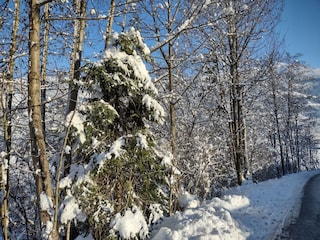IMG_20231203_140900727_HDR