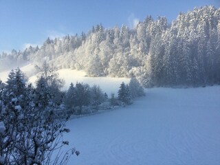 ACCC7A56-6F56-42D2-ACC5-1D02D9F2B66D