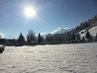 5D44707D-08E8-4663-A158-BB03953C7B50