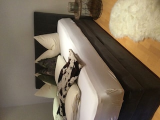 4F64BD3B-6FFF-4418-ADC6-1E7EBE600FB4