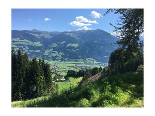 Wildauhof-Alm Sommer