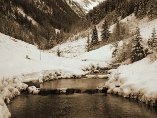 Schwarzachtal 23-1 - 19.01.2016 Silvia