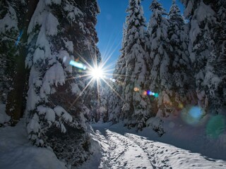 Wimmertal 03-08.11.2016 Silvia