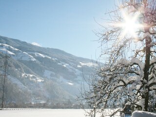 auch die Sonne kommt durch