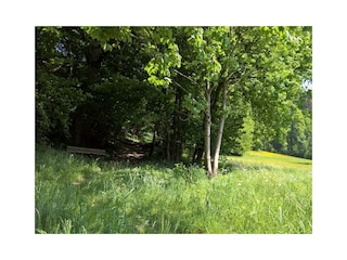 Zillertal_Bruck_holiday-home.tirol_Wanderweg-neben