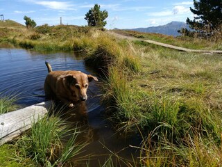 IMG_20180909_114423_523