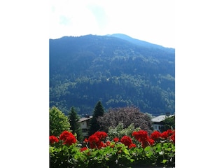 Ferienwohnung Balkon mit Hamberg