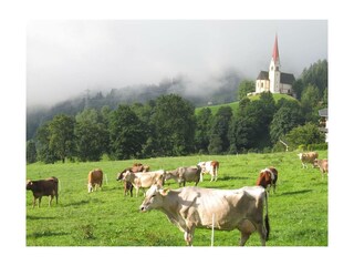 Aussicht St. Pankrazkirche