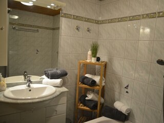 Zillertal_Stumm_Ferienwohnungen Sunshine_Top1