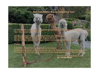 Zillertal_Stumm_Ferienwohungen Sunshine_Alpakawand