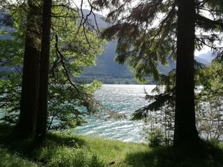 Seen in der Nähe des Apart Tiefenbach