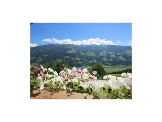 Aussicht vom Balkon Apart Tiefenbach