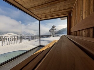 Sauna in Altholz mit Glasfront