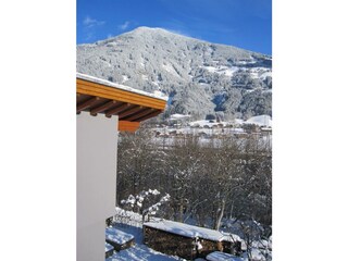 Ausblick Balkon hinten zum Radweg am Ziller