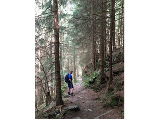 Weg zur Maxhütte Ginzling