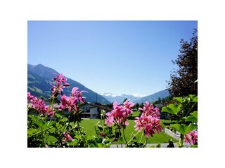 Ausblick vom Balkon /  Zillertal