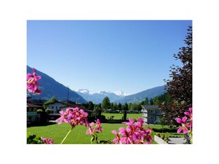 Ausblick vom Balkon 4