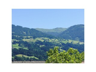 Aussicht / Harterberg