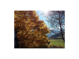 Herbstspaziergang in Fügen