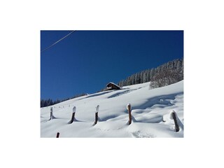 Ruhe und Erholung auf der Alm
