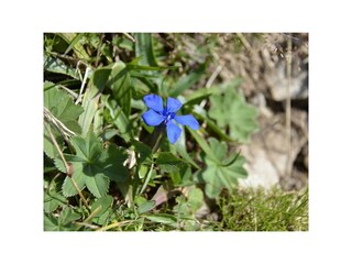 Überall eine Überraschung