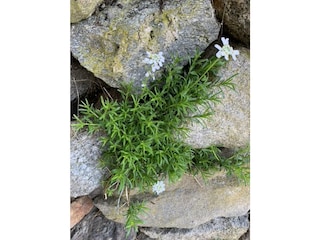 7EBD8B21-5291-4822-8CF0-24A8E4C6C74C_1_105_c