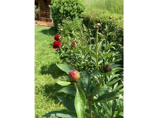 36F5341C-B4F6-4DD9-BF50-940A017463C7_1_105_c