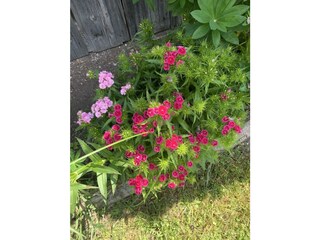 F046821C-011E-49F0-B9C0-E1F21CC561E6_1_105_c