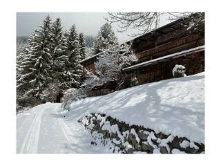 8AC7620B-ACE1-49E9-9194-D9B0160A6DA9_1_105_c