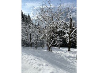 BD7BCE09-59FB-44FA-B836-5BC8AD2EAD7B_1_105_c