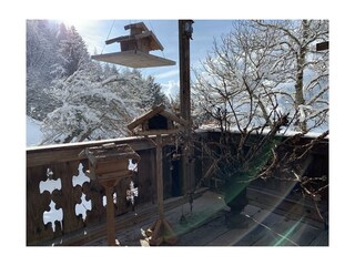 DC59F0DA-D233-4D9D-A675-10426E9DBFA1_1_105_c