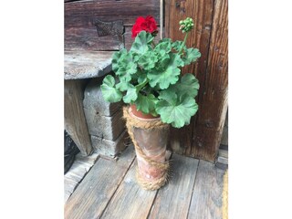 FA54E18F-7C6E-4A97-A1AF-3DD0EF44B6AB_1_105_c