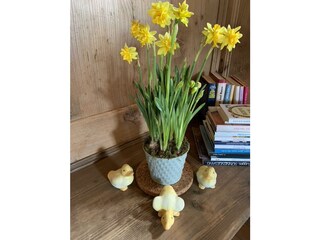 8BEBDF6E-8315-43E2-B575-FA40953F75F8_1_105_c