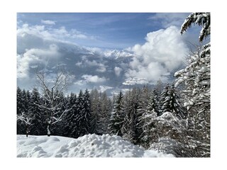 2D64758B-5021-4761-891A-A5FF7CA9DA89_1_105_c