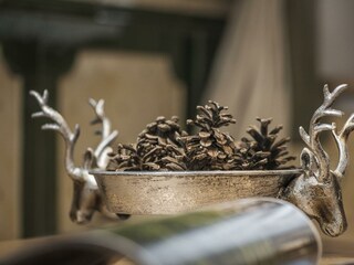 2021.05.04_apart.sonnenröschen.004_web