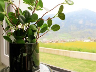 TheGardenView-Detail