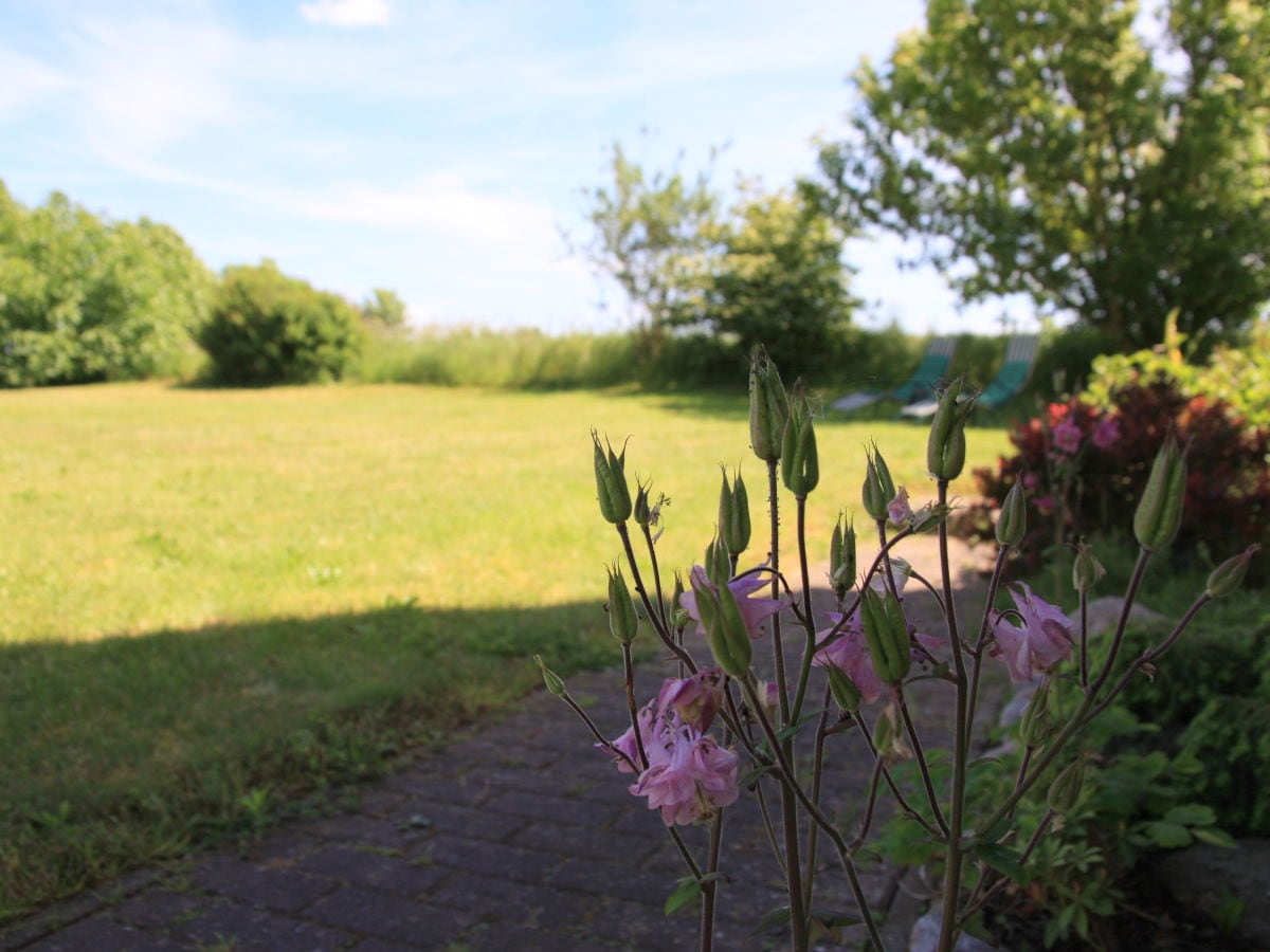 Wohnung MÜRITZBLICK mit großem Garten