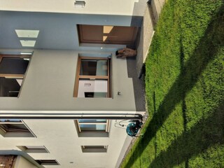 Eingang mit Garten