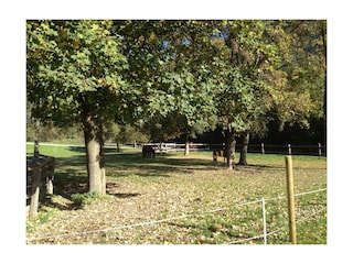 Unsere PferdeFerienhof Stadlpoint Ried Zillertal