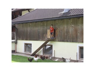 Hühner Stadlpoint Pferde Ried Zillertal