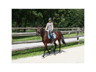 Reiter Pferde Stadlpoint Zillwertal Reitplatz Tiro