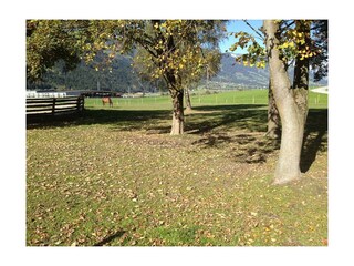 Unsere Pferde Ferienhof Stadlpoint Ried Zillertal