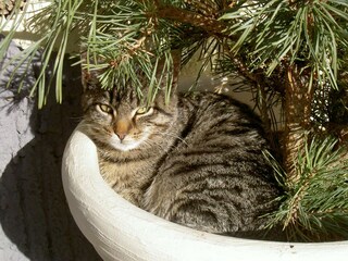 Ruhe und Entschleunigung