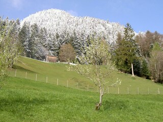 Erste Ferienregion ZillertalKampf der Jahreszeiten