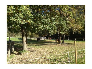 Unsere PferdeFerienhof Stadlpoint Ried Zillertal